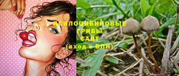 apvp Алексеевка