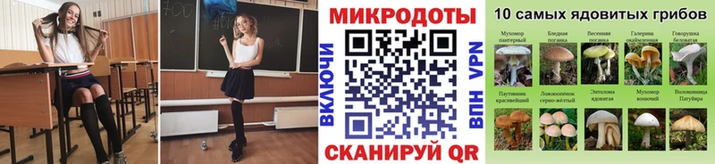 ссылка на мегу ONION  Петушки  Галлюциногенные грибы ЛСД  где купить наркотик 